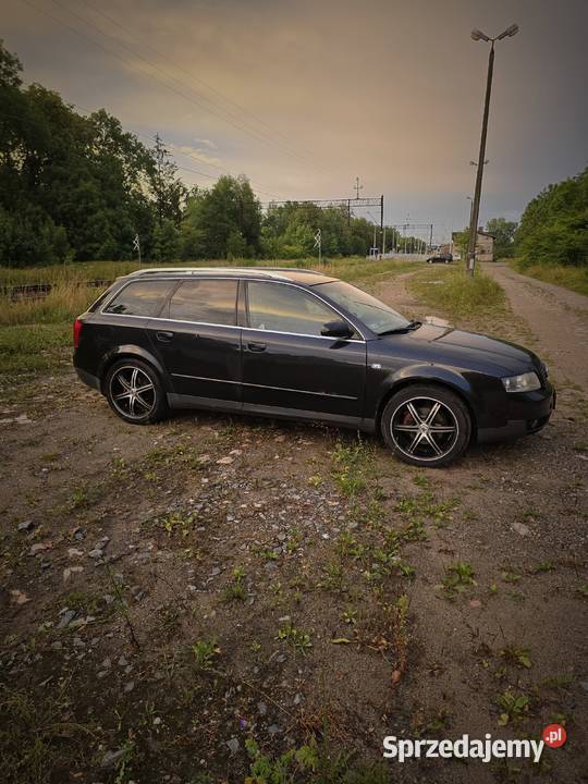 Audi a4 b6 19 150 Paparzyn