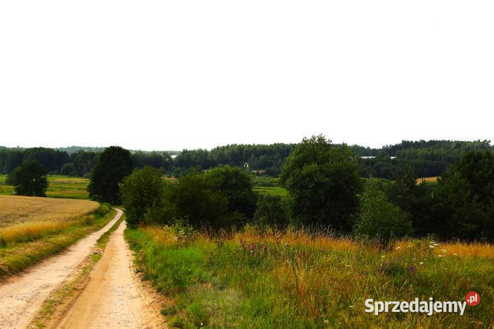 Grunt do sprzedania Stara Kiszewa 1129m2