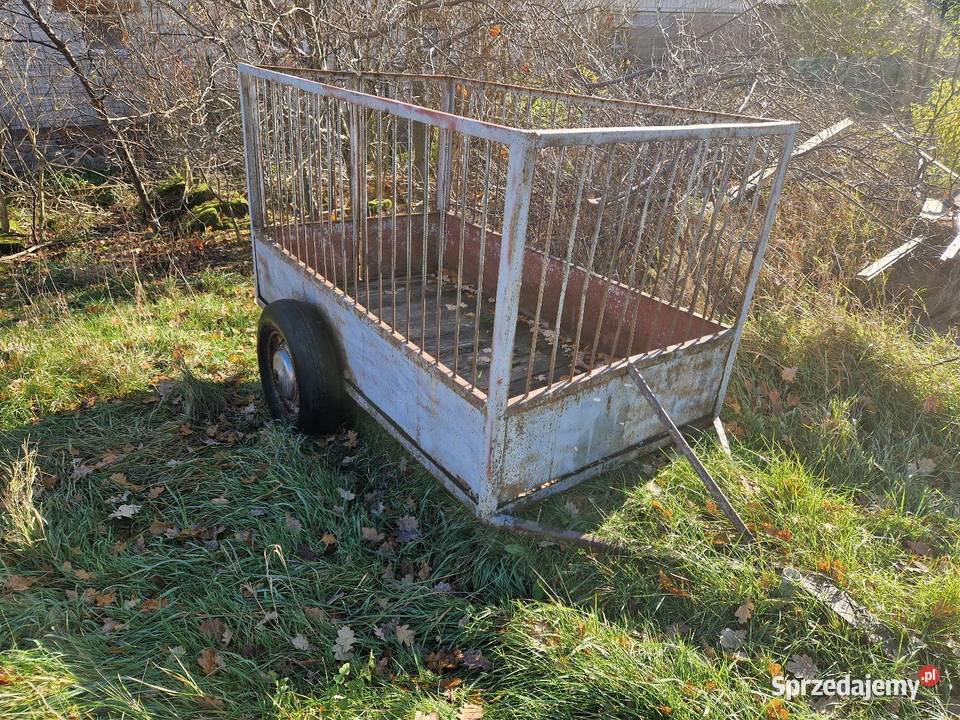 Wozek do przewozu zwierząt