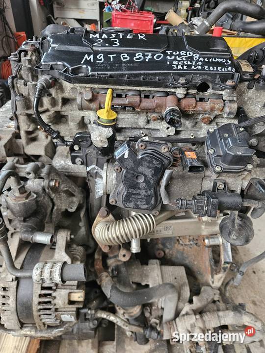 RENAULT MASTER III OPEL MOVANO 23 DCI SILNIK Radom sprzedam