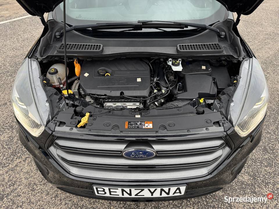 Ford Kuga 15 BENZYNA STLINE Klimatronik Konin