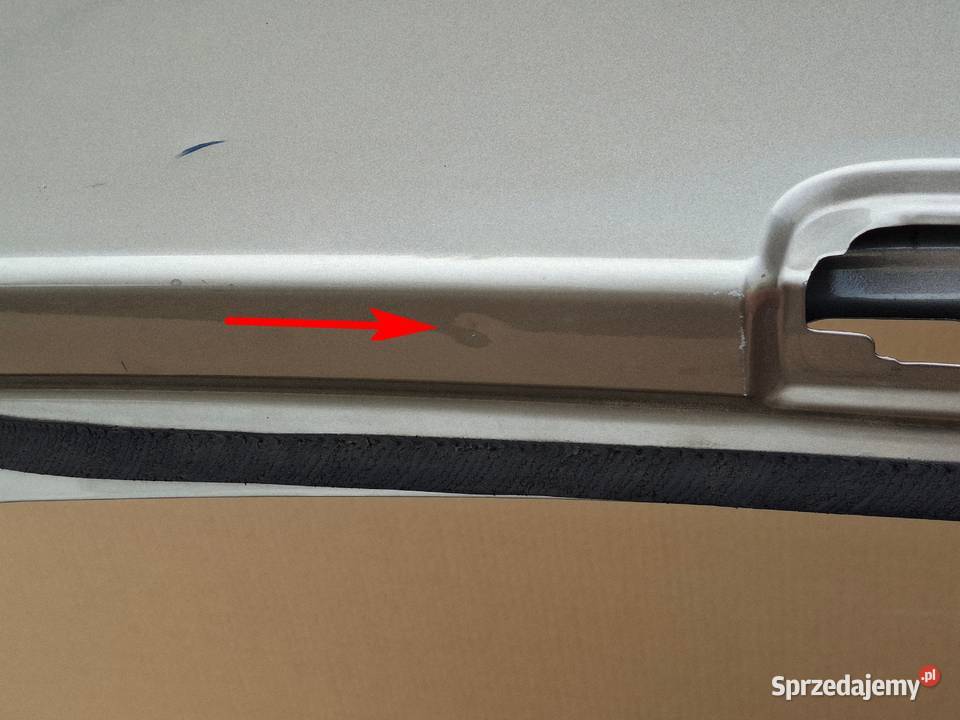 RENAULT SCENIC 3 III KLAPA BAGAŻNIKA TYŁ lubuskie Bieleń