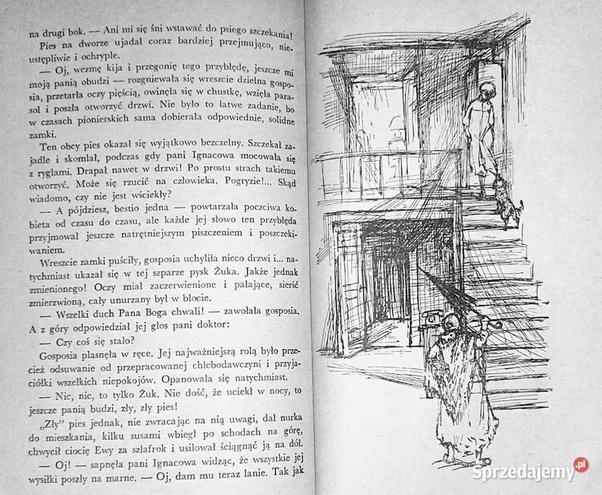 Deszcz zając i chłopiec Zofia Woźnicka Pozostałe