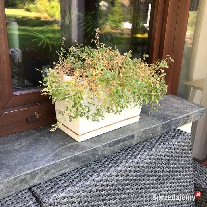 Płytki Łupek Deoli Green naturalny 60x30x0912 pomorskie Gdynia