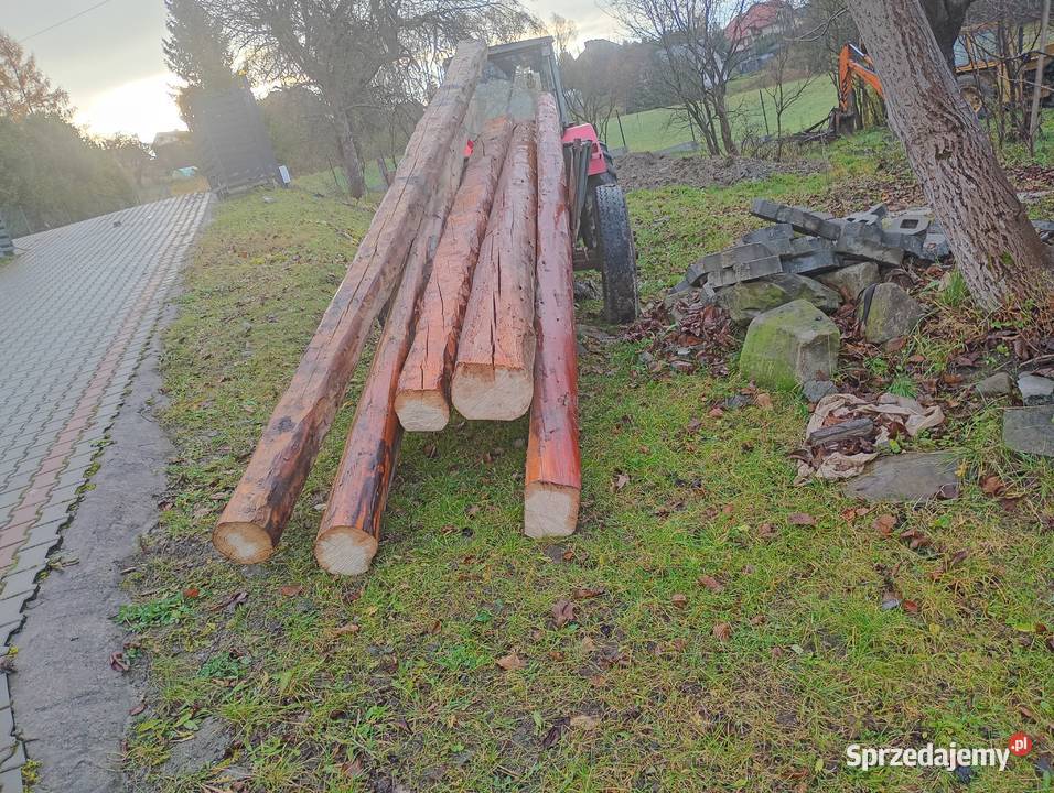 Stare suche belki Drewno konstrukcyjne Budowa Mszana Dolna