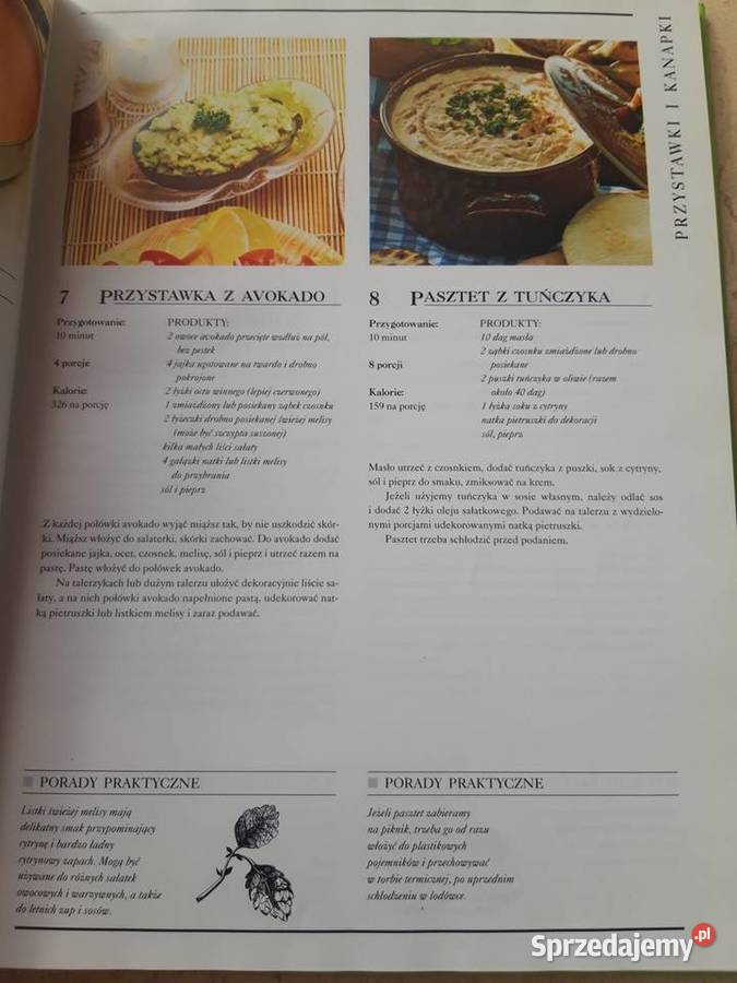 Potrawy z grilla i dania na piknik 240 przepisów