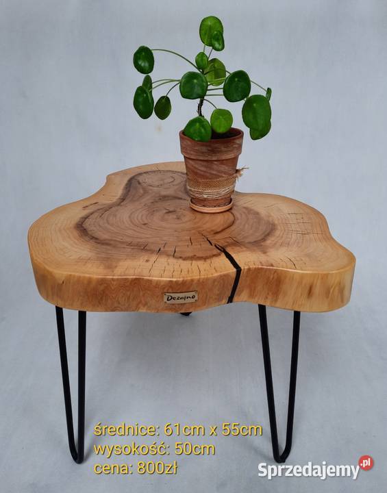 Stolik kawowy plaster drewna wiąz loft