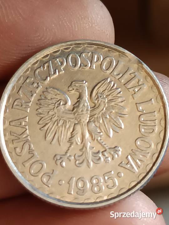 Sprzedam monete 1 zloty 1985 odkroj blachy Chełm sprzedam