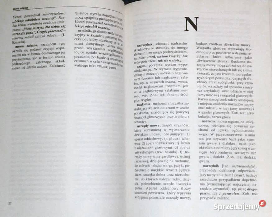 Szkolny słownik terminów o języku Jan Malczewski Chełm sprzedam