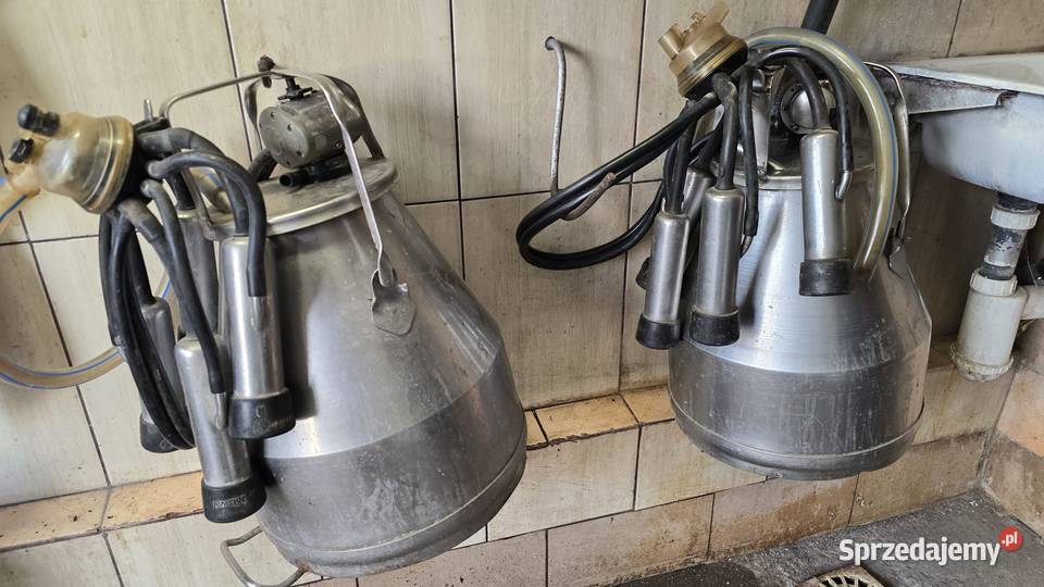 Dojarka konwiowa ALFALAVAL Polska produkcja dwie Pozostałe Przykwa sprzedam