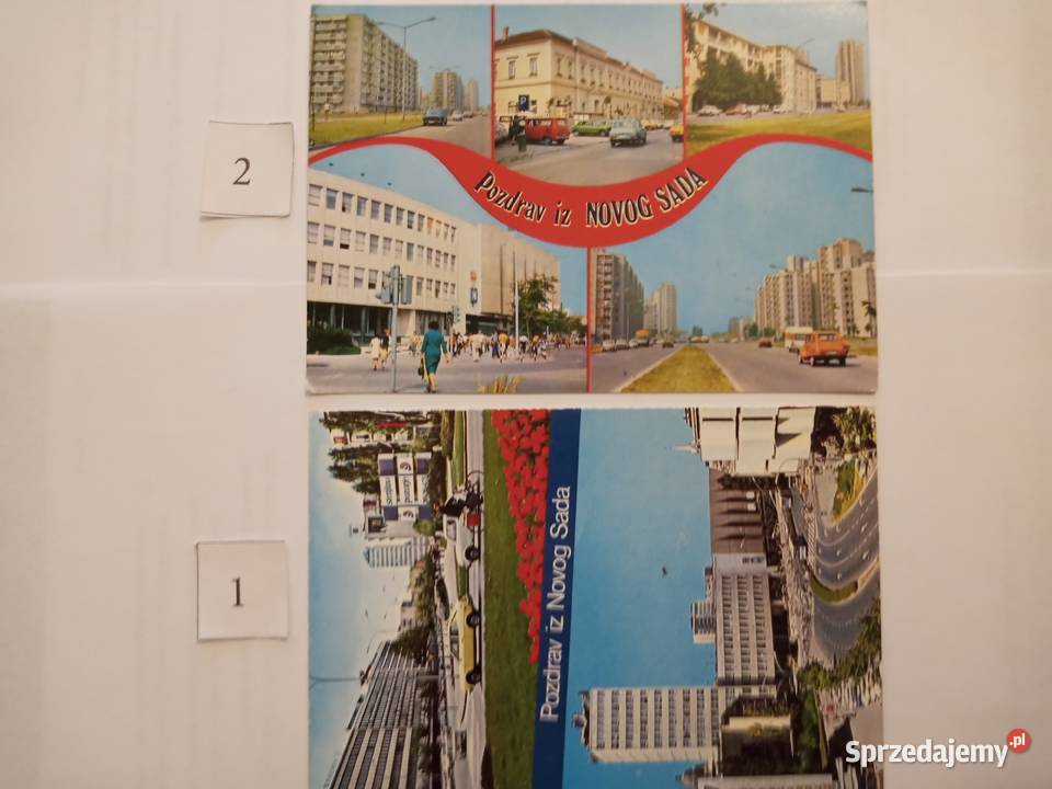 POCZTÓWKI Pozdrowienia z NOVOG SADA ZESTAW 39 Szczecinek