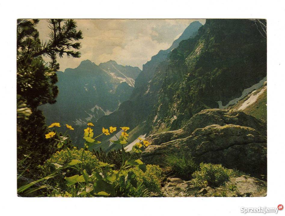 TATRY WYSOKIE ŚCIANY KAZALNICY POCZTÓWKA Krynki sprzedam