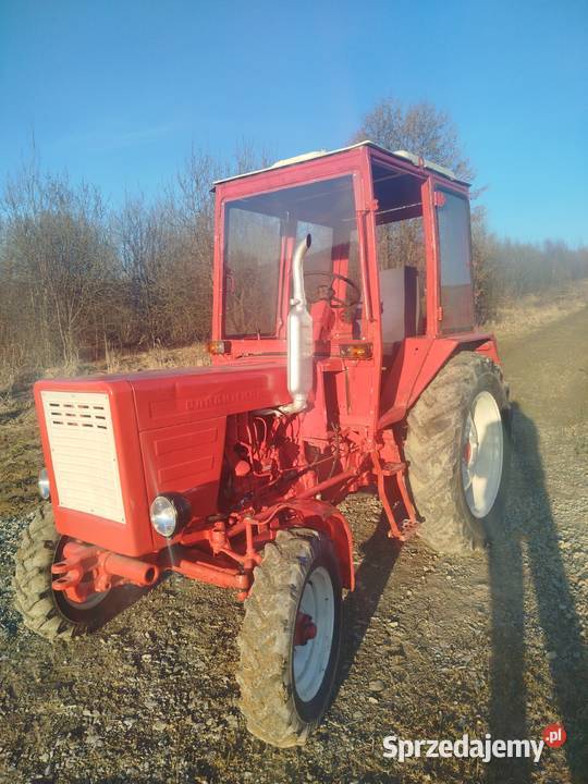 Władimirec T25 Pruchnik