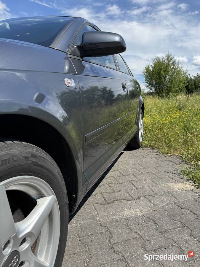Audi a3 8p 16 mpi Zarejestrowany w Polsce Biała Podlaska sprzedam