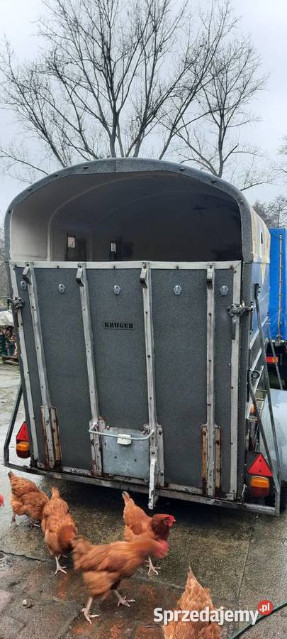 Przyczepa do przewozu koni