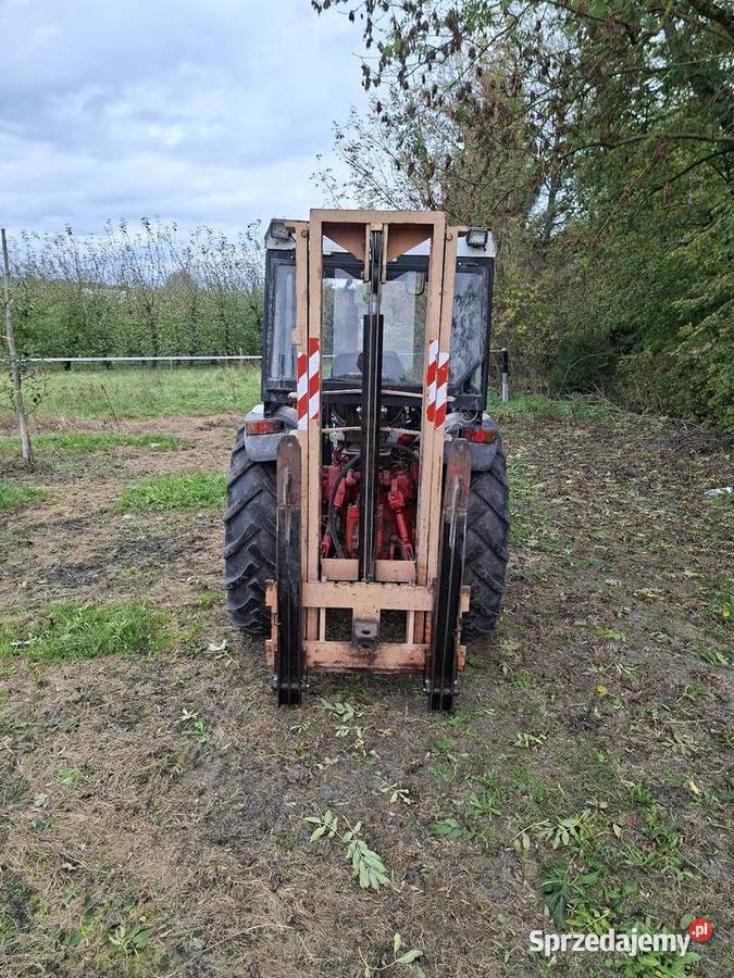 David Brown 885 sadowniczy David Brown lubelskie Wólka Kolczyńska