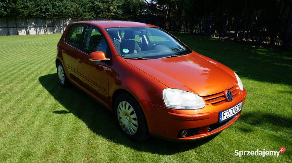 Volkswagen Golf super stan Gwarancja V 20032008 4/5 Zielona Góra