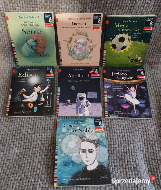 Czytam sobie 12 sztuk 3 poziomy wielkopolskie Poznań