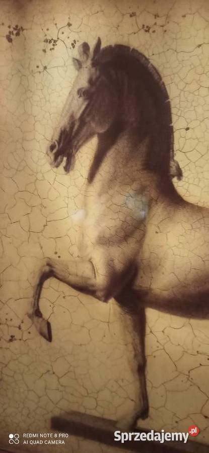 Obraz z koniem Sygnowany Replika pod szkłem Ramy Gdańsk