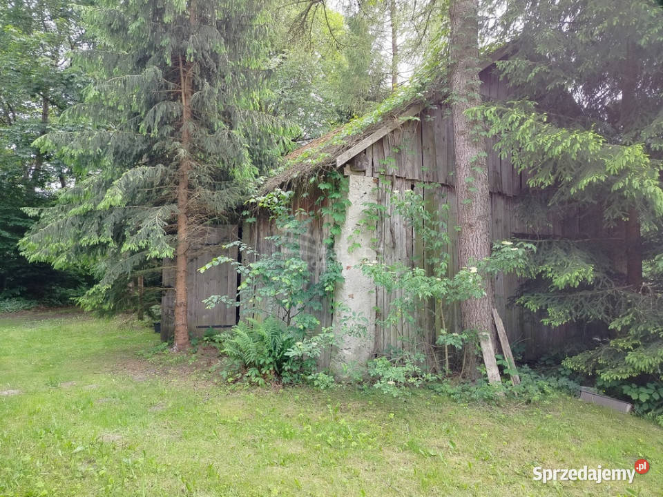 piękne ranczo z łąką i lasem pod HoryńcemZdrojem polna Dziewięcierz
