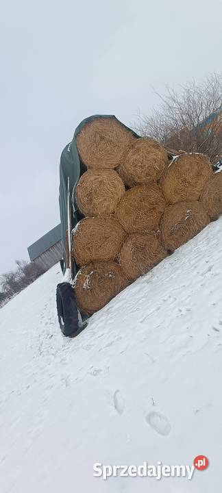 Słoma w belach Abramów