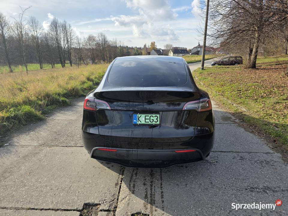 Tesla Y w wersji 534 Dual Motor AWD 534KM Model Y