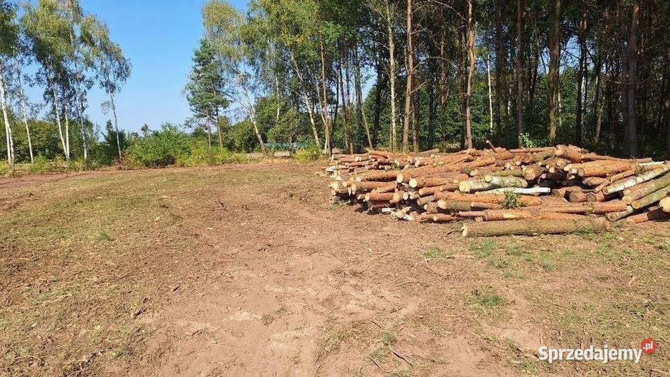 Drewno opałowe sosna 90 mk Dobroszyce