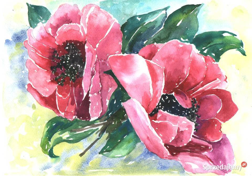 OBRAZ akwarela KWIATY Gryfów Śląski