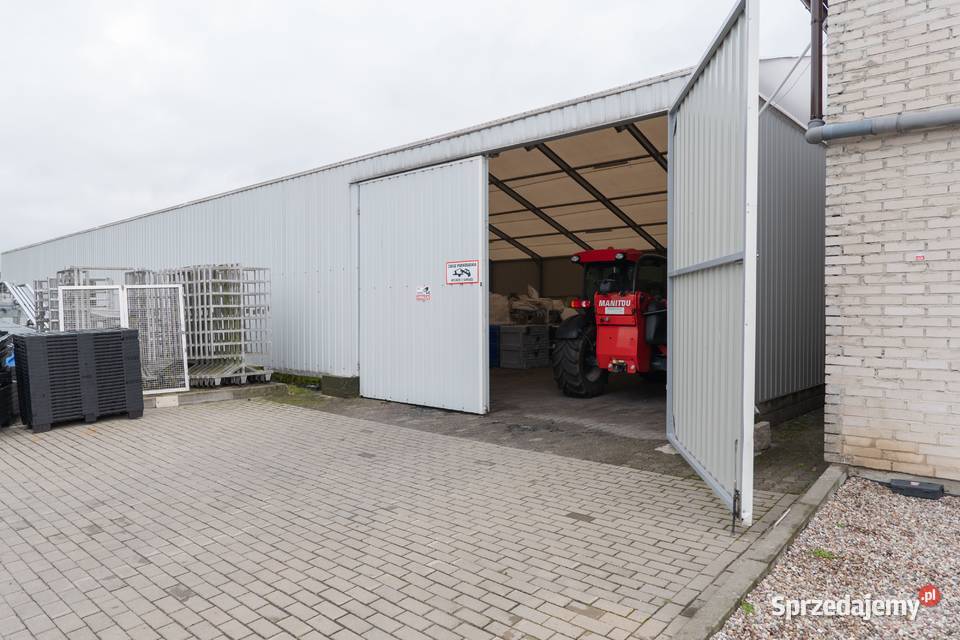 Hale Produkcyjne Przemysłowe Rolnicze Produkcja Domachowo
