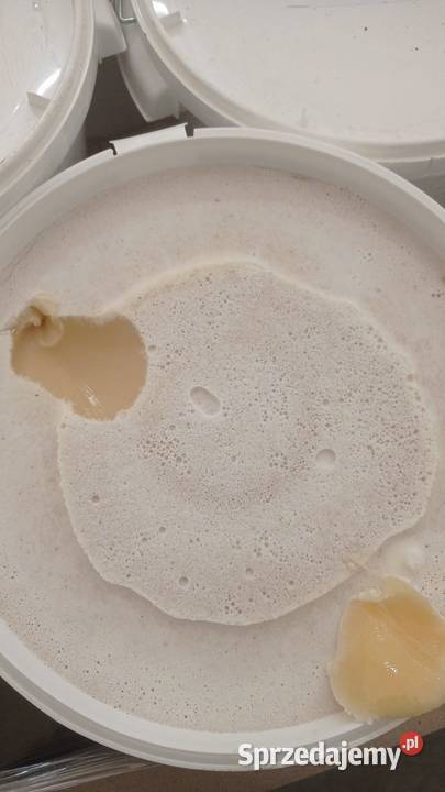 Miód lipowy 32 pyłków aromatyczny Warszawa