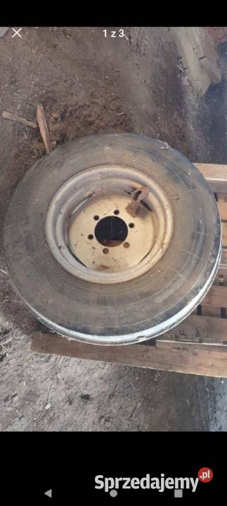 Koło 12520 Czysta Dębina