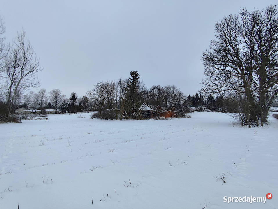 Sprzedam nieruchomość w Klementowicach Sprzedaż Klementowice