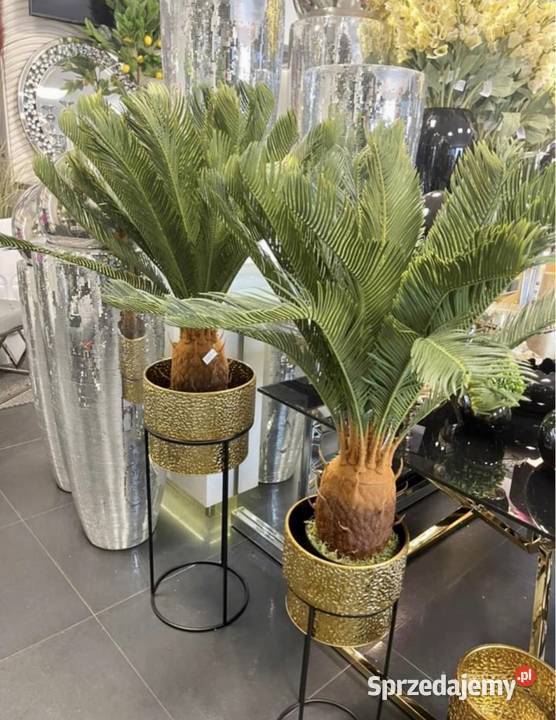 Sztuczna palma z kokosem żywa PREMIUM hit Nowy Sącz sprzedam
