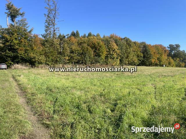 Grunt 15327m2 Syrynia śląskie