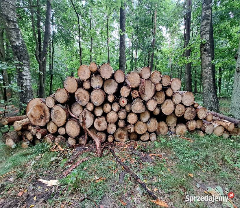 drewno opałowe Starogard Gdański