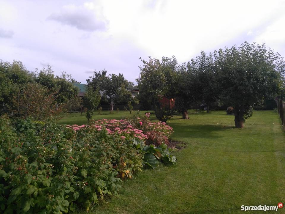 Działka rekreacyjnoogrodowa w Dziwnówku 130zł/m2 Nieruchomości Dziwnów