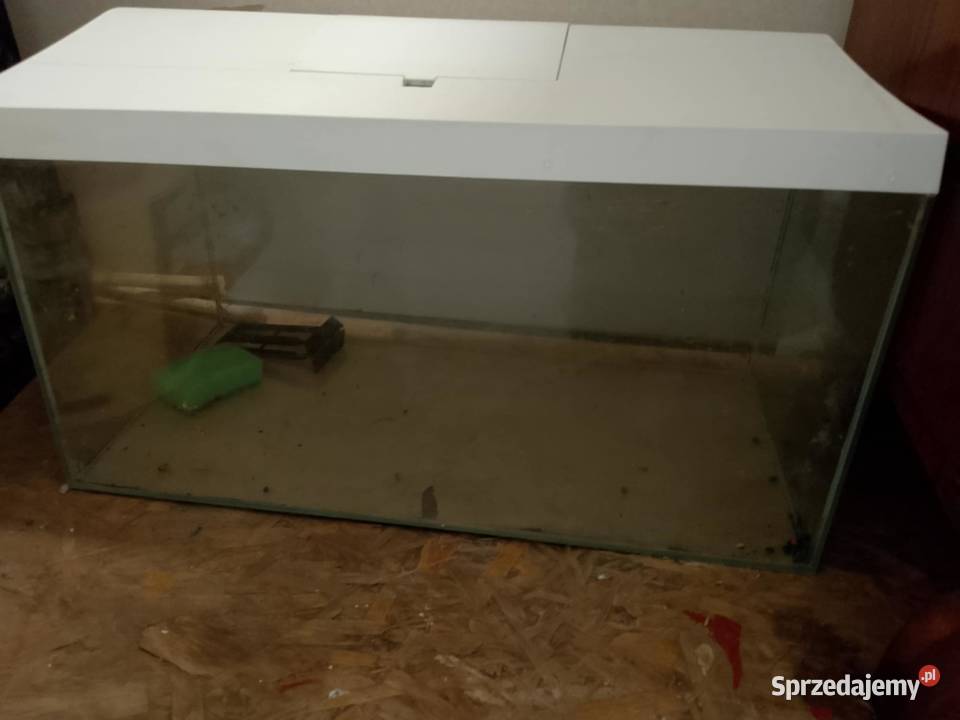 posiadam 2 akwarium na sprzedaż Głogów