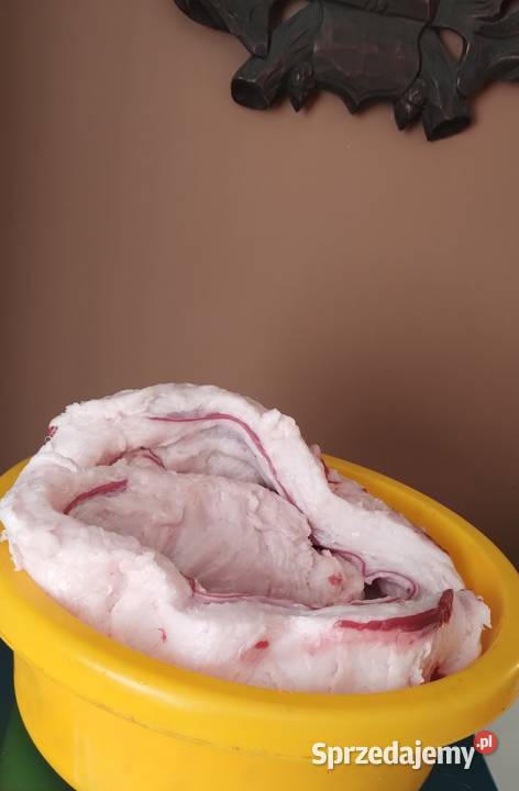 smalecsadło z borsuka Pozostałe