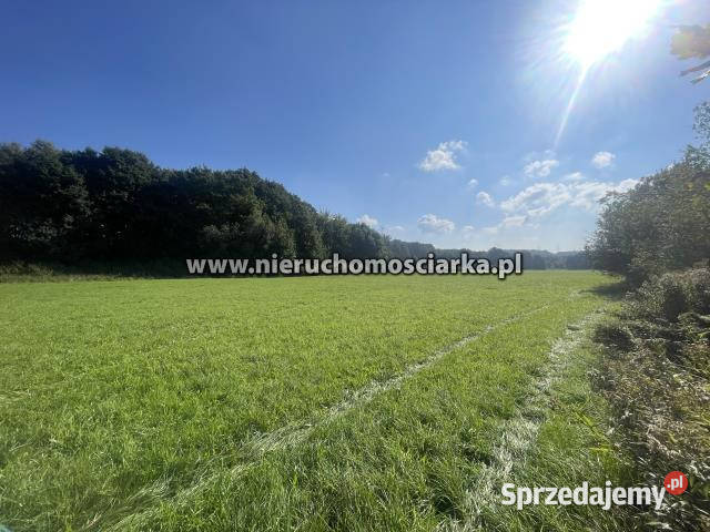 Działka 2780m2 Syrynia śląskie sprzedam