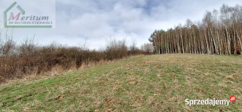 Grunt Łęki Strzyżowskie 1403m2 1403m2 Nieruchomości podkarpackie