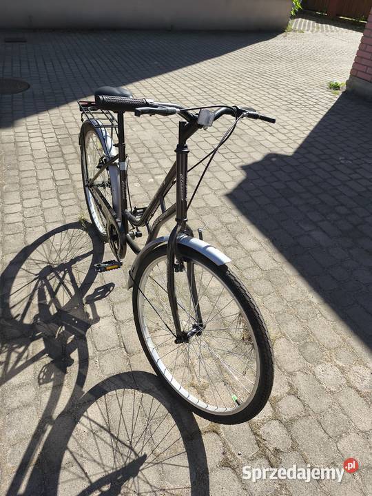 Damka Longway city Białystok