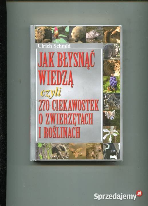 błysnąć wiedzą czyli 270 ciekawostek o Szczecin