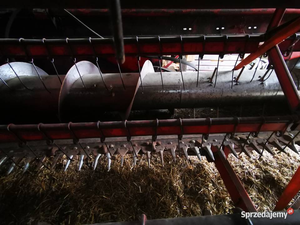 Bizon Z056 Ratoszyn Pierwszy