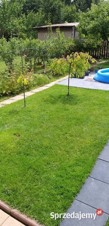 Działka ROD Tamel ogródek działkowy Tarnów sprzedam