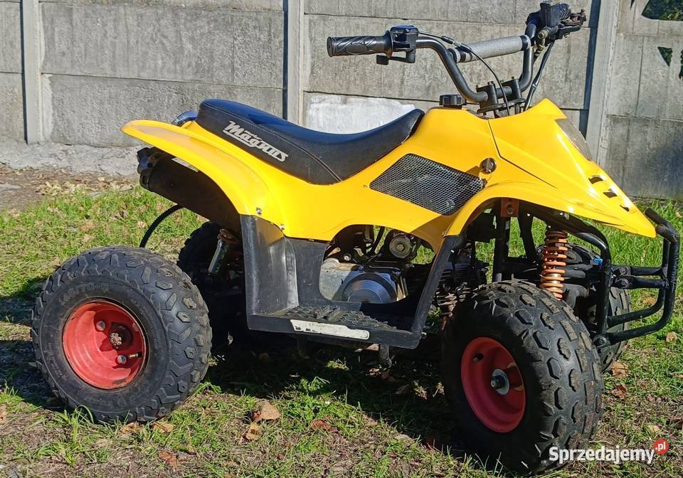 Sprzedam Quady 70 Cc i 110 mazowieckie Gostynin