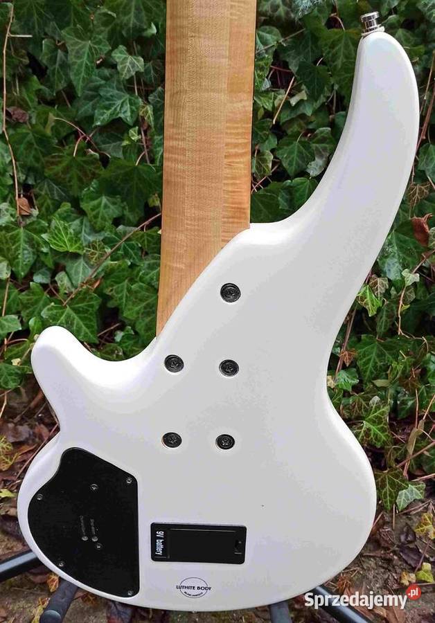 Gitara basowa Cort Curbow 5 Korea łódzkie Tuszyn