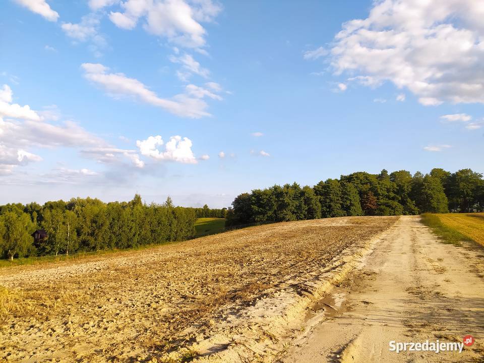 Działka jeziorem w powiecie rypińskim z linią Trąbin-Rumunki