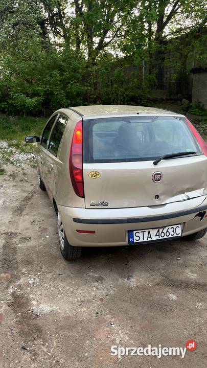 Punto Classic 2009 13 Samochody osobowe