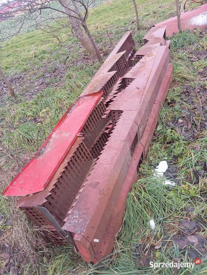 Klawisze bizon lubelskie