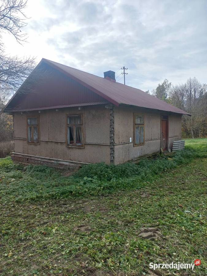 Siedlisko na sprzedaż w Antoniówka gmina Gorzków Sprzedaż Bogusław sprzedam